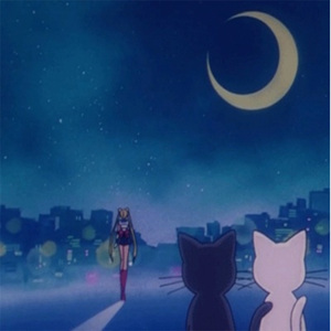 舔屄肏屄到高潮
