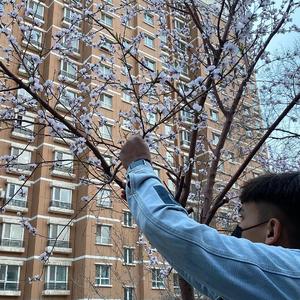 舔屄肏屄到高潮
